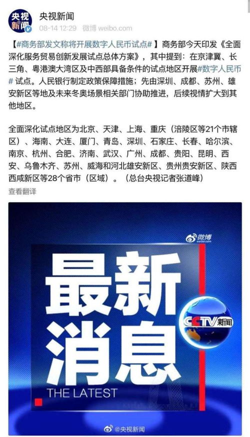 鯨錢包最新消息，引領數(shù)字金融的新浪潮